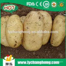 2016 New Crop Fresh Potatoes With Lowest Price